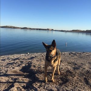 Meet your Posher, Kate